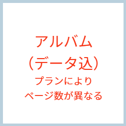 アルバム10ページとデータ込み