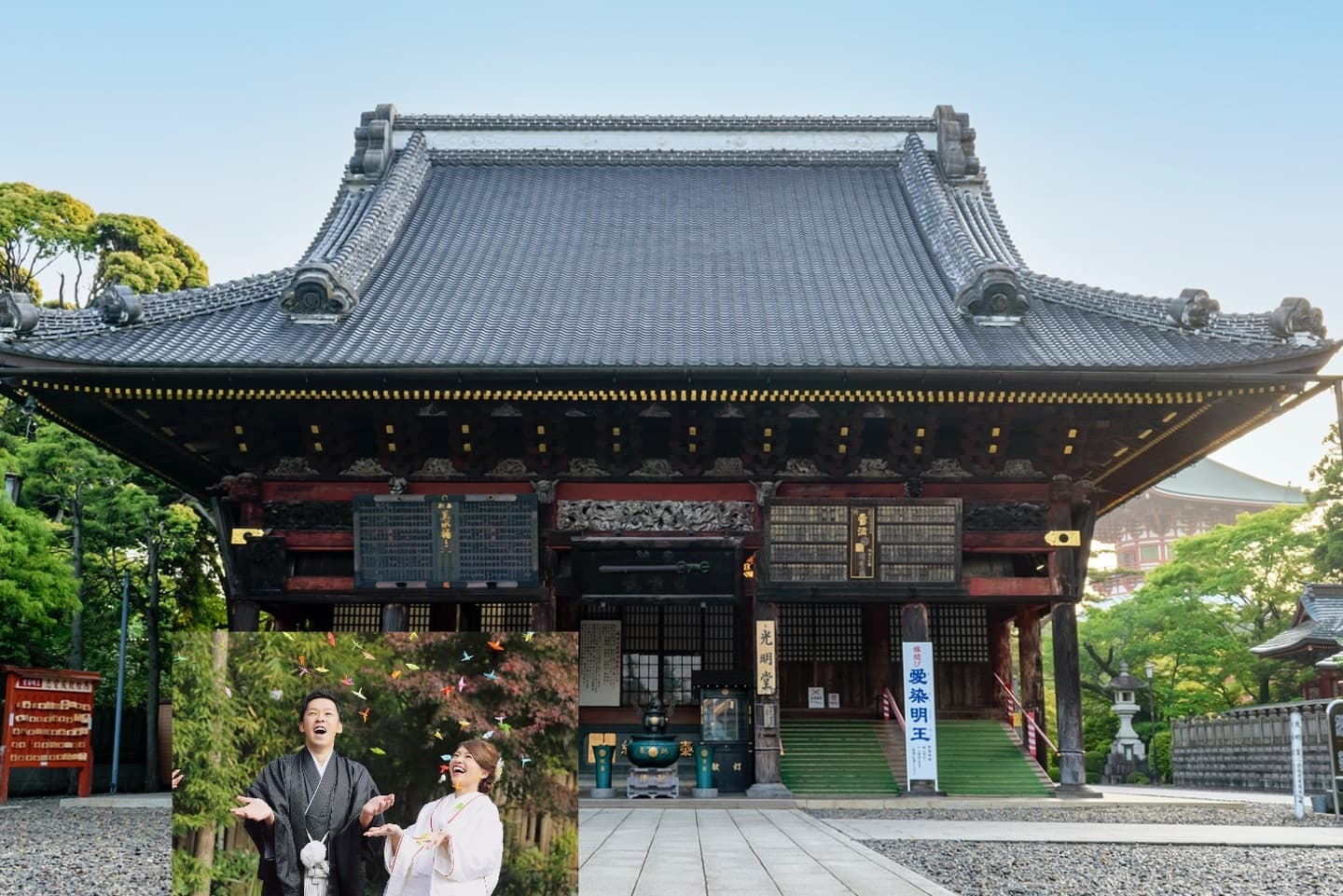 レンタル&フォトスタジオの光翔 鉾田市 国営ひたち海浜公園内でのロケーション撮影も人気です